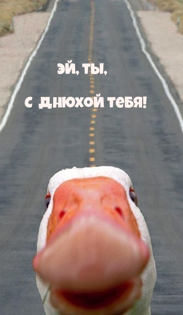 , ,   !.