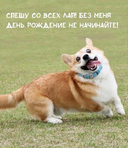    !      !.