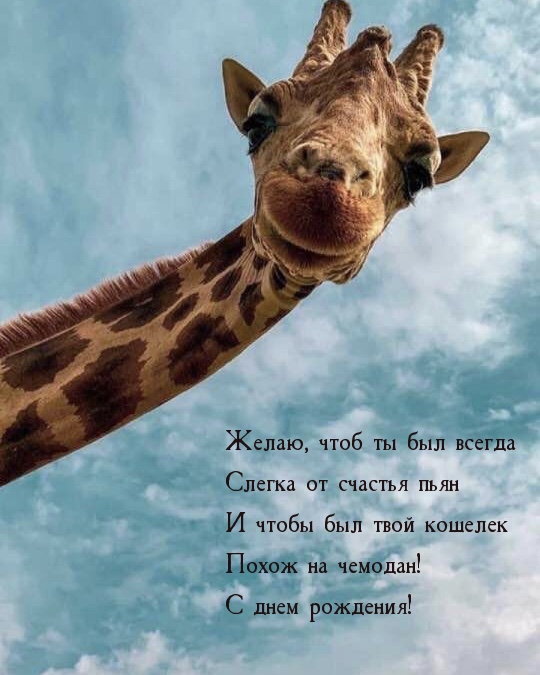   :   ! ,        