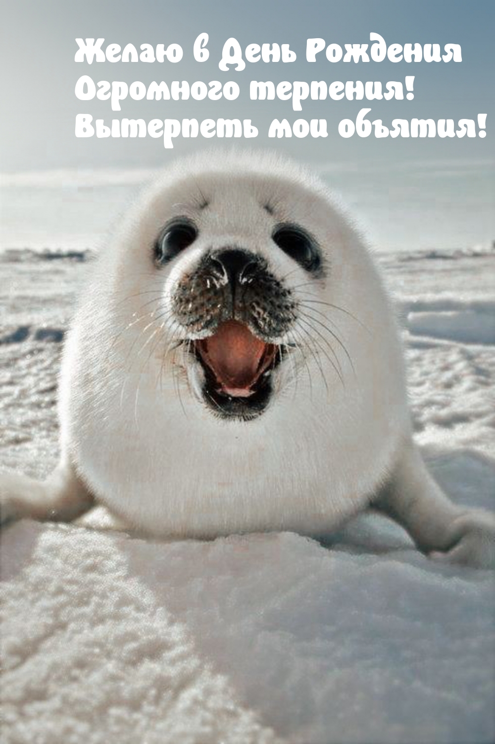   :      ! 