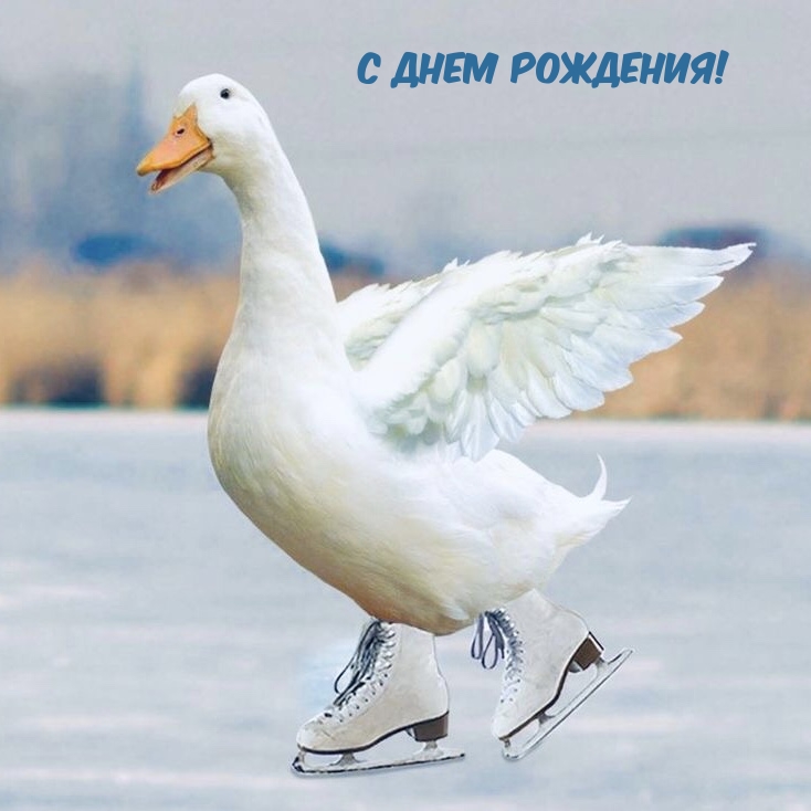   :   !
