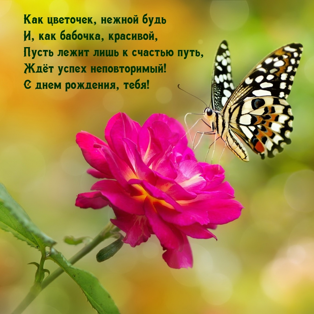  ,   ,  , 