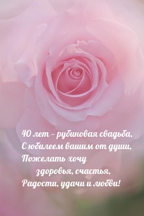   : 40    ,     