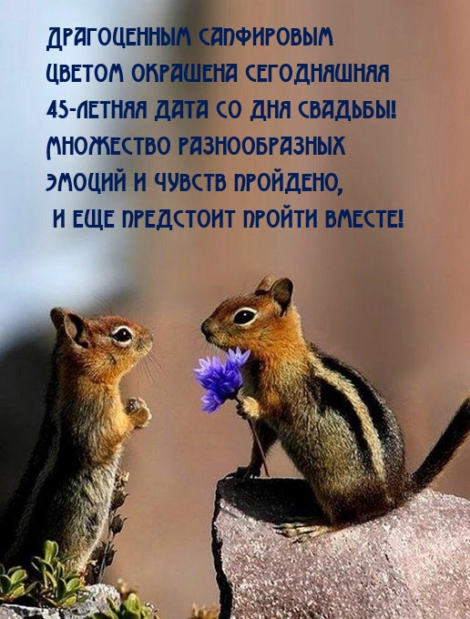 45-летняя дата со дня свадьбы! .