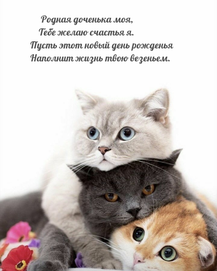   ,    ..