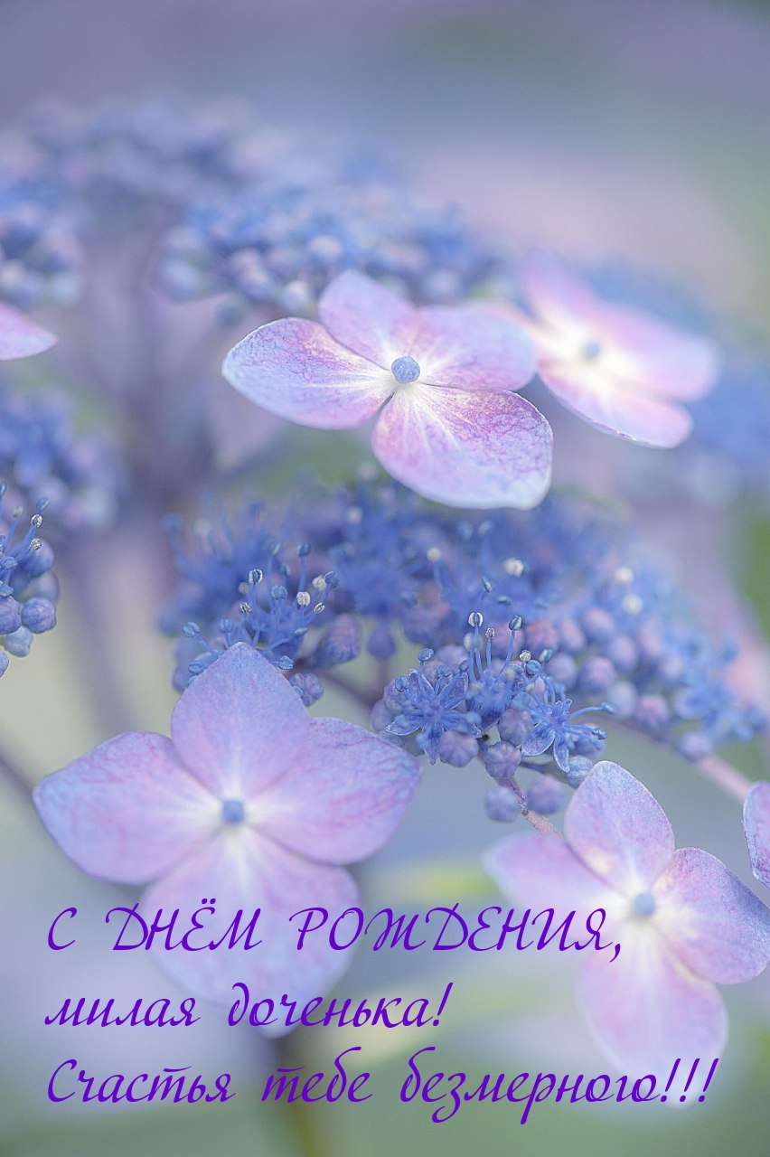 С ДНЁМ РОЖДЕНИЯ, милая доченька! Счастья тебе безмерного!