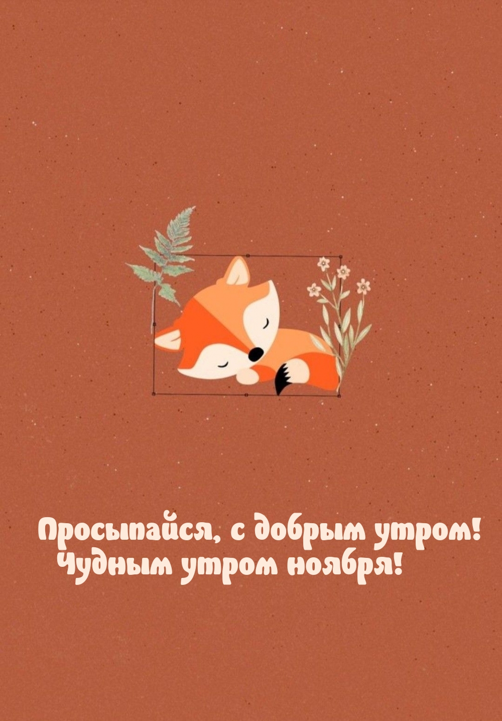 ,   !   !