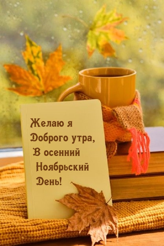 Желаю я доброго утра, в осенний ноябрьский день!.