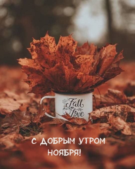 Картинки с надписями С добрым утром ноября!