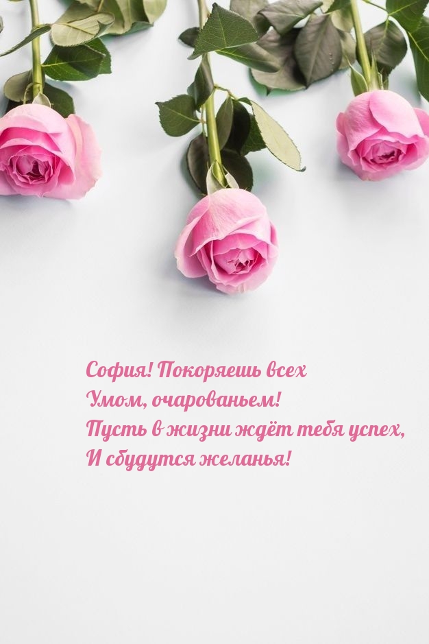 София! Покоряешь всех умом, очарованьем!.