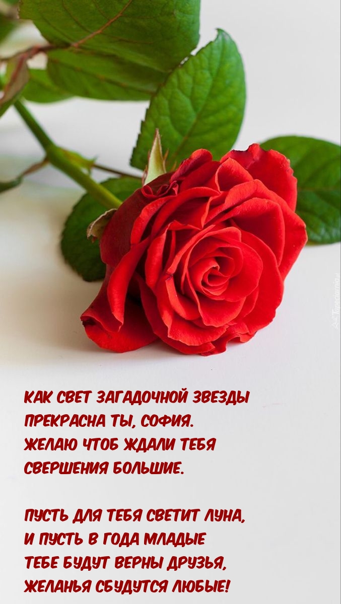      , ..
