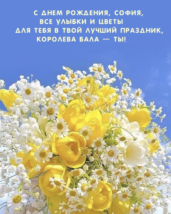 С днем рождения, София Королева бала — ты!.