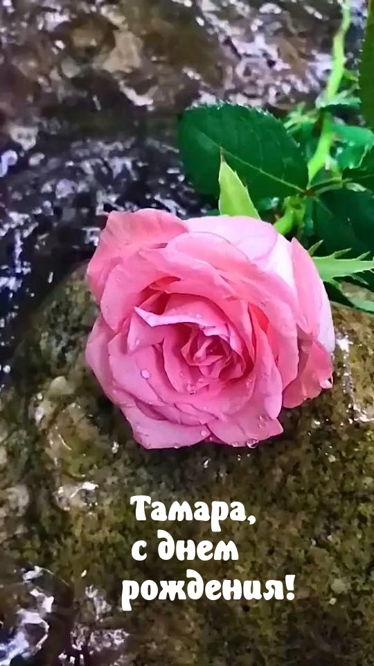 ,   !.