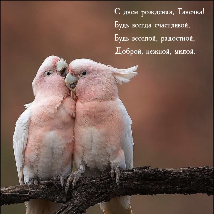С днем рождения, Танечка! Будь всегда счастливой