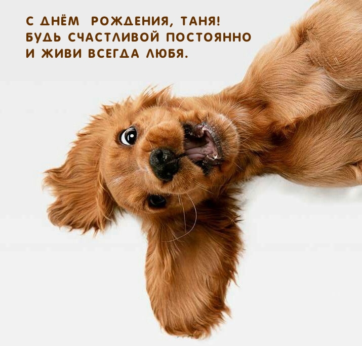 С днём  рождения, Таня! Будь счастливой постоянно.