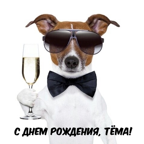 С днем рождения, Тёма!.
