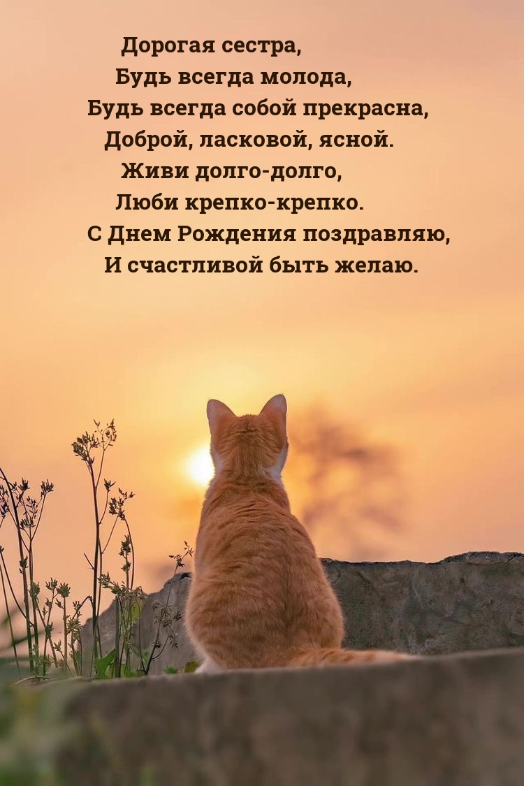 С Днем Рождения поздравляю, и счастливой быть желаю.
