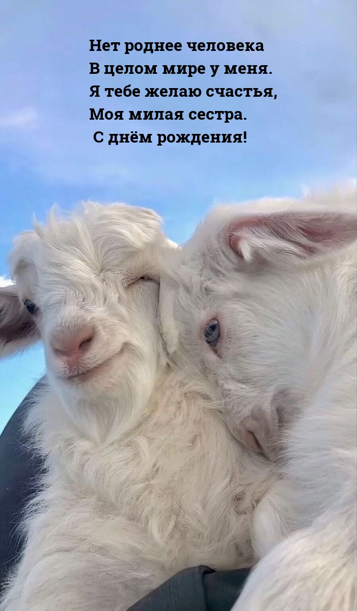 Моя милая сестра. С днём рождения!.