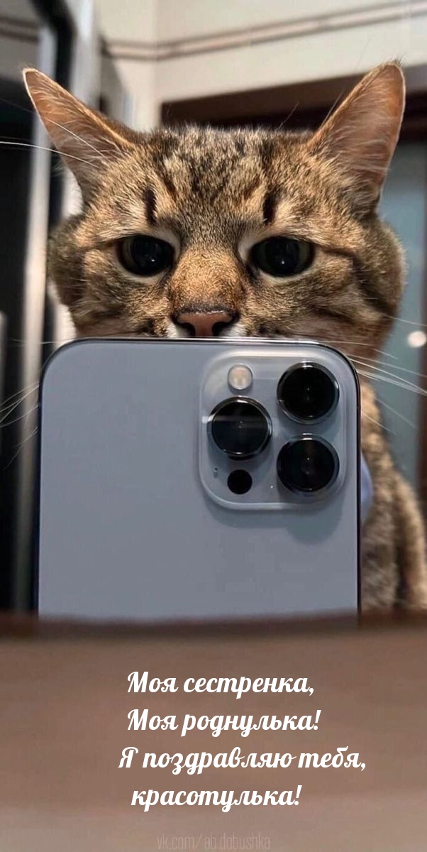   :  ,   , !