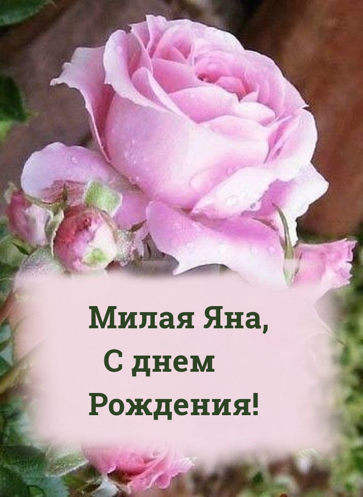  ,   !.