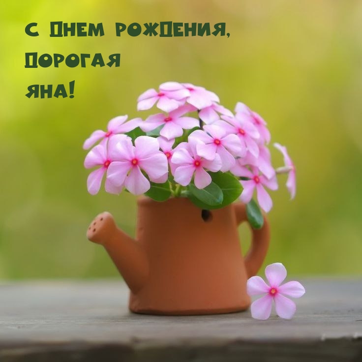   ,  !