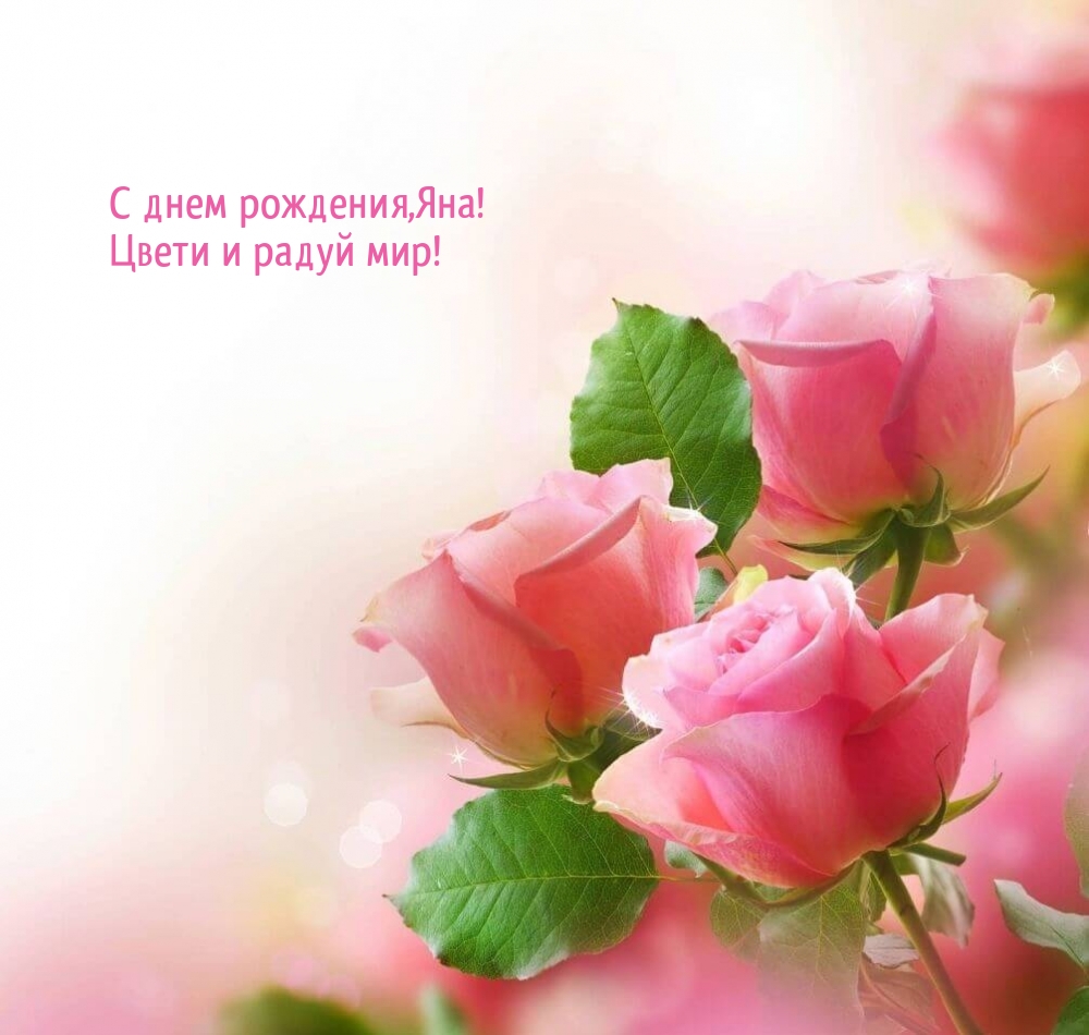 С днем рождения,Яна! Цвети и радуй мир!