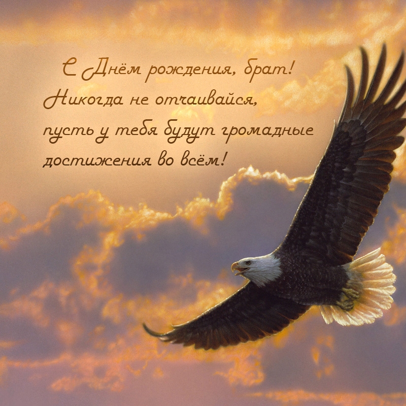 С Днём рождения, брат! Никогда не отчаивайся