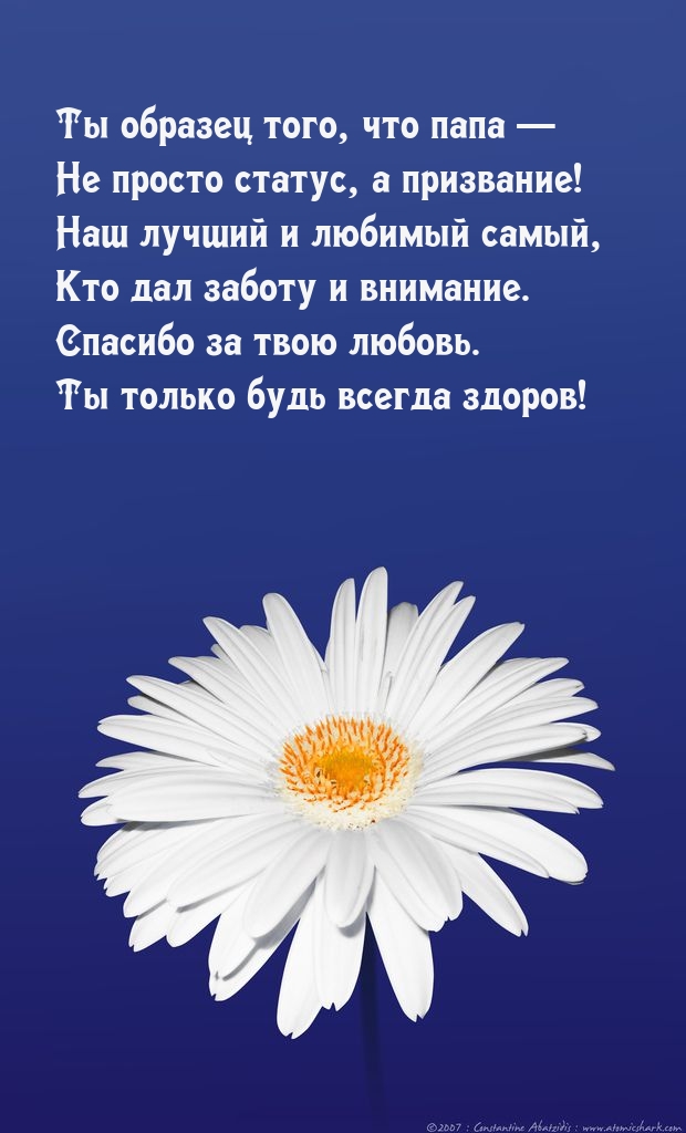 Ты образец того, что папа — Не просто статус, а призвание!.