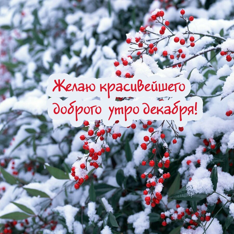   :     !
