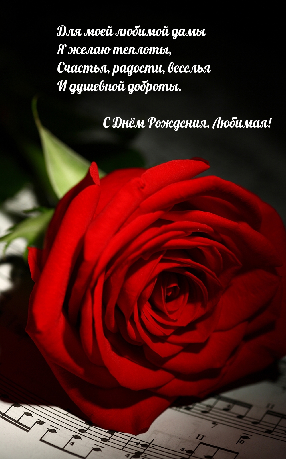 С Днём Рождения, Любимая! Для моей любимой дамы я желаю теплоты