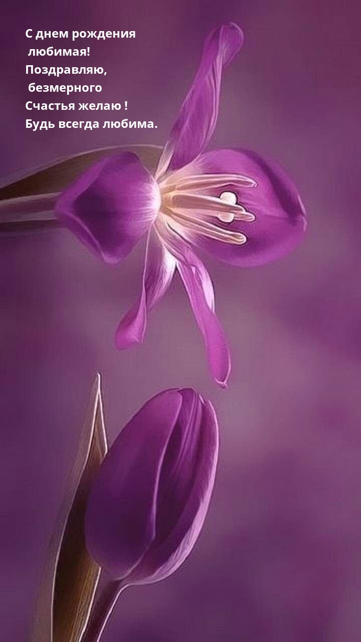    ! ,   !.
