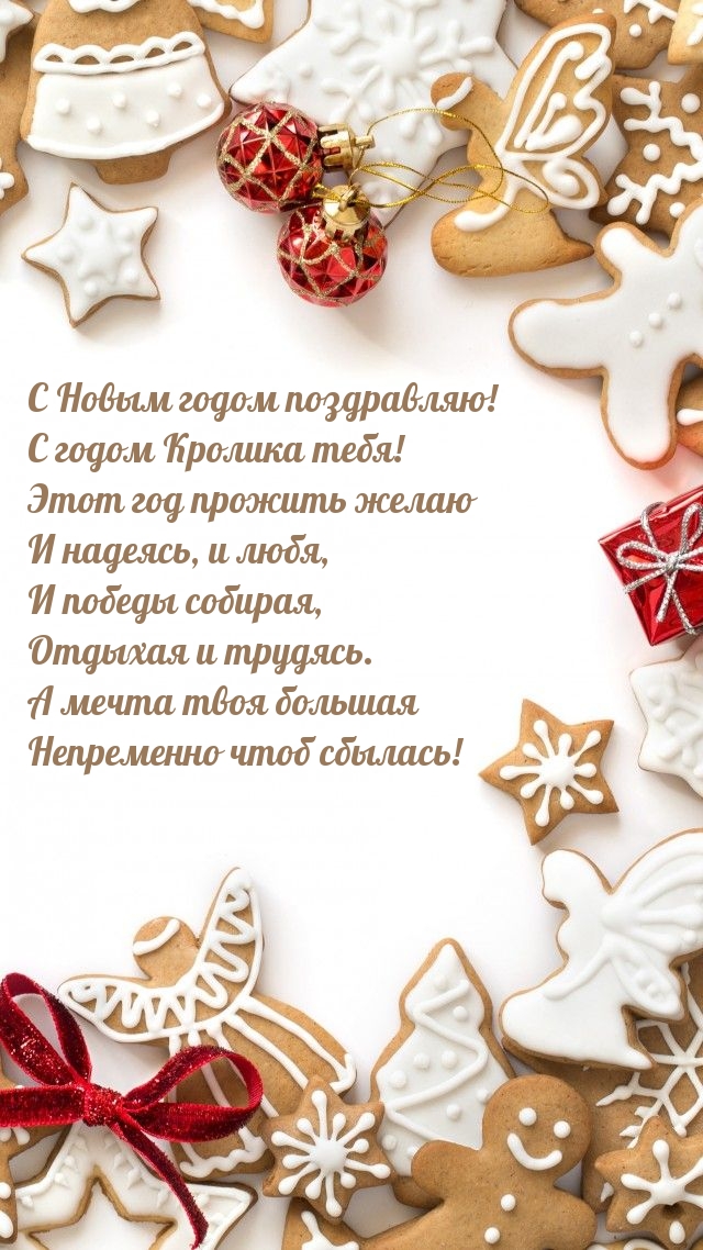 С Новым годом поздравляю! С годом Кролика тебя!.