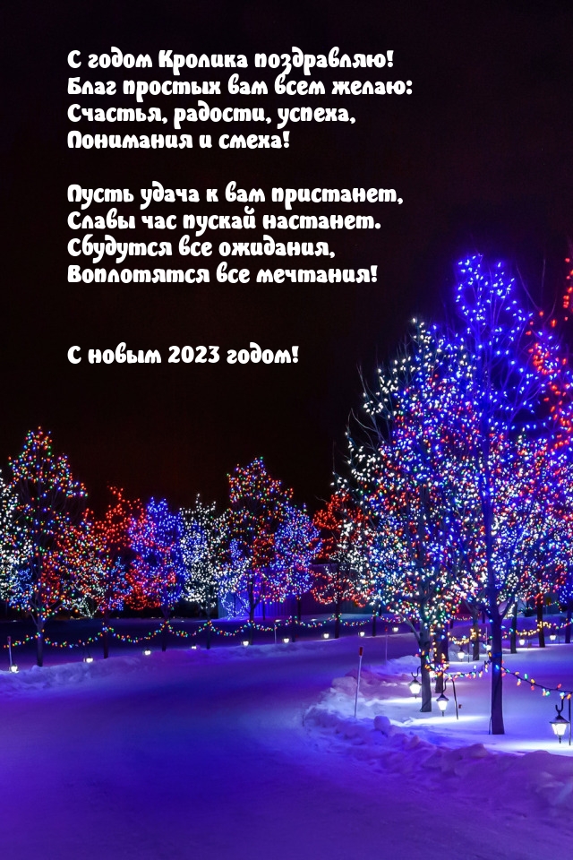 С годом Кролика поздравляю! Благ простых вам всем желаю.