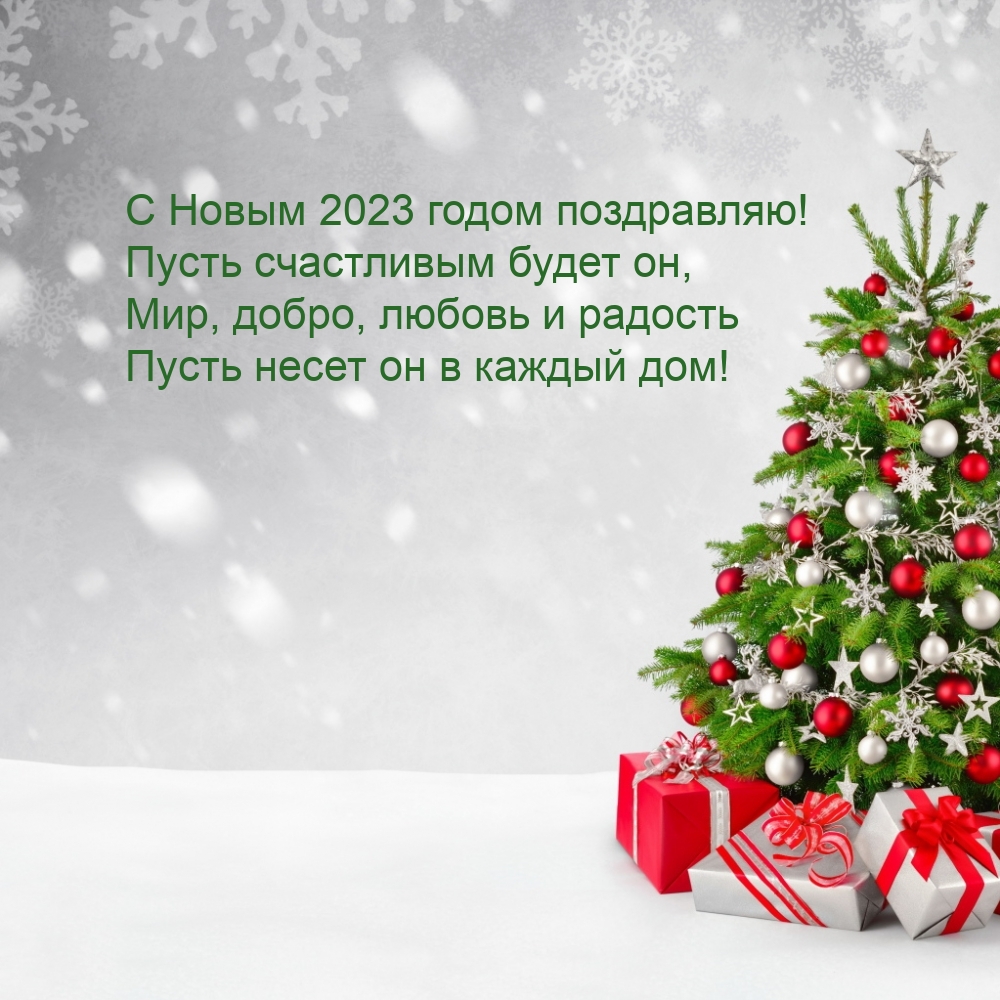   :   2023  !    