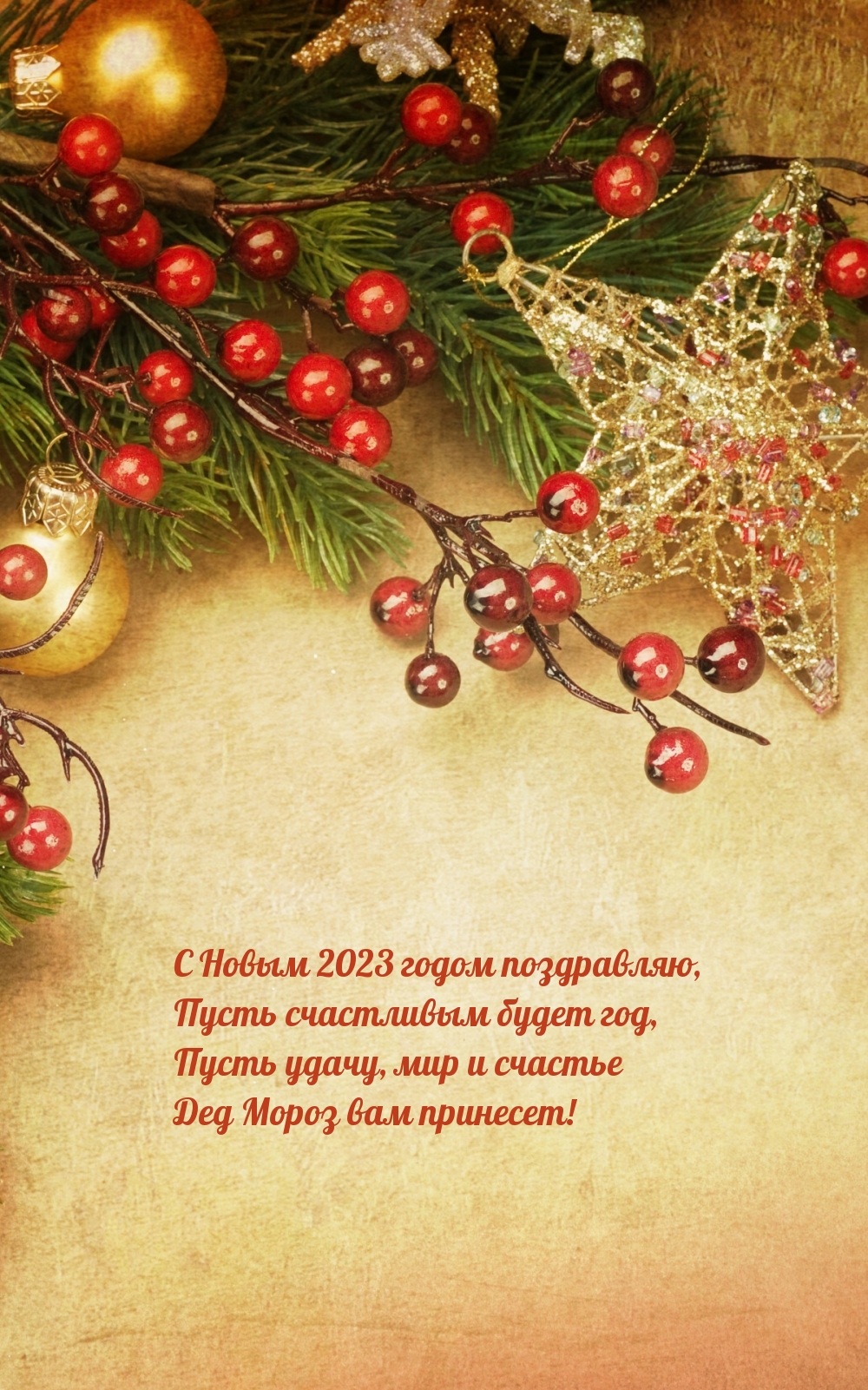 С Новым 2023 годом поздравляю, пусть счастливым будет год