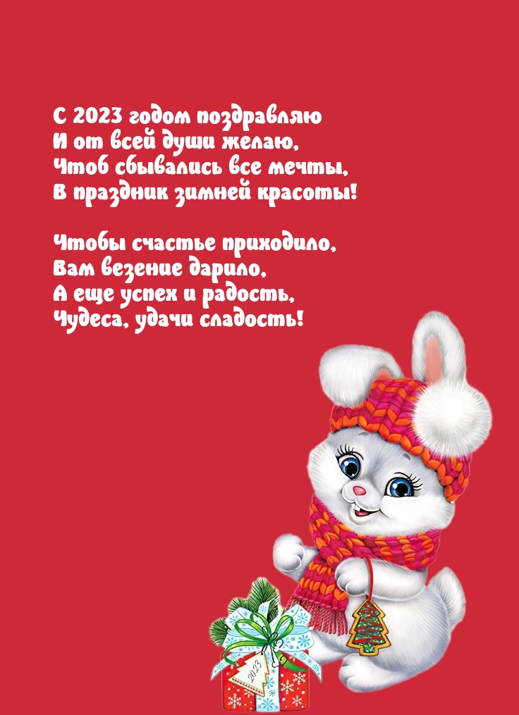   :  2023       