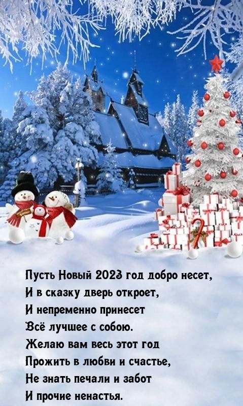   :   2023   