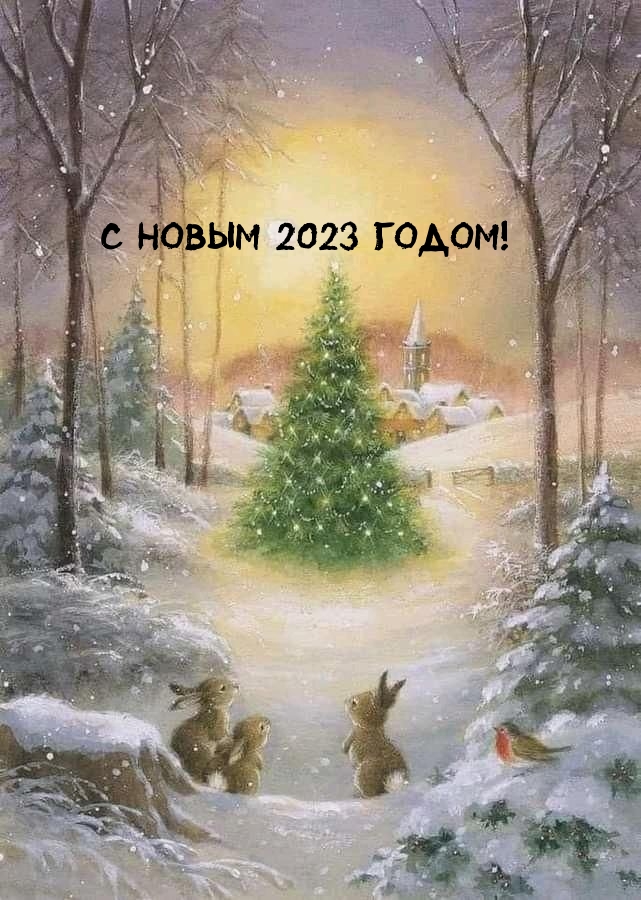   :   2023 !