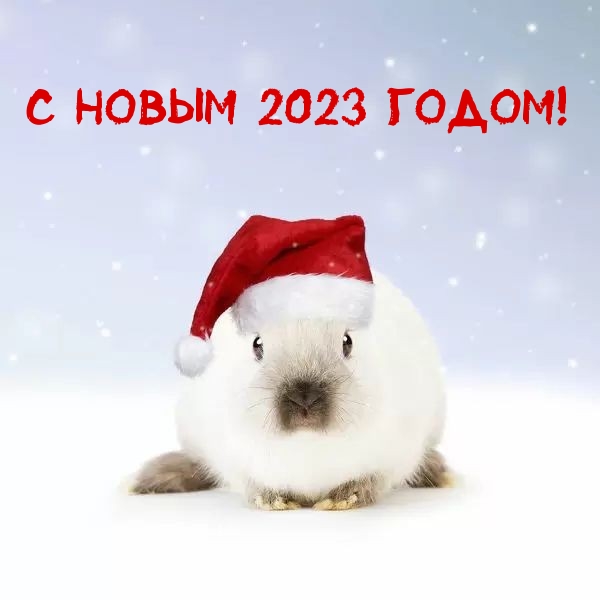 C новым 2023