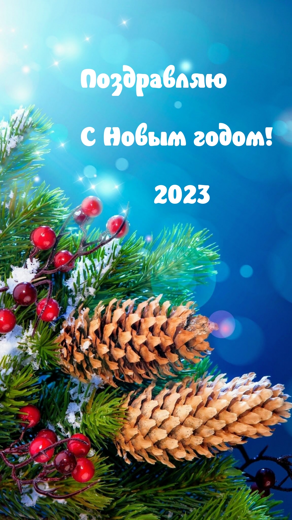 Поздравляю с новым годом! 2023
