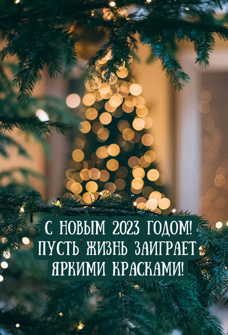   2023 !     !