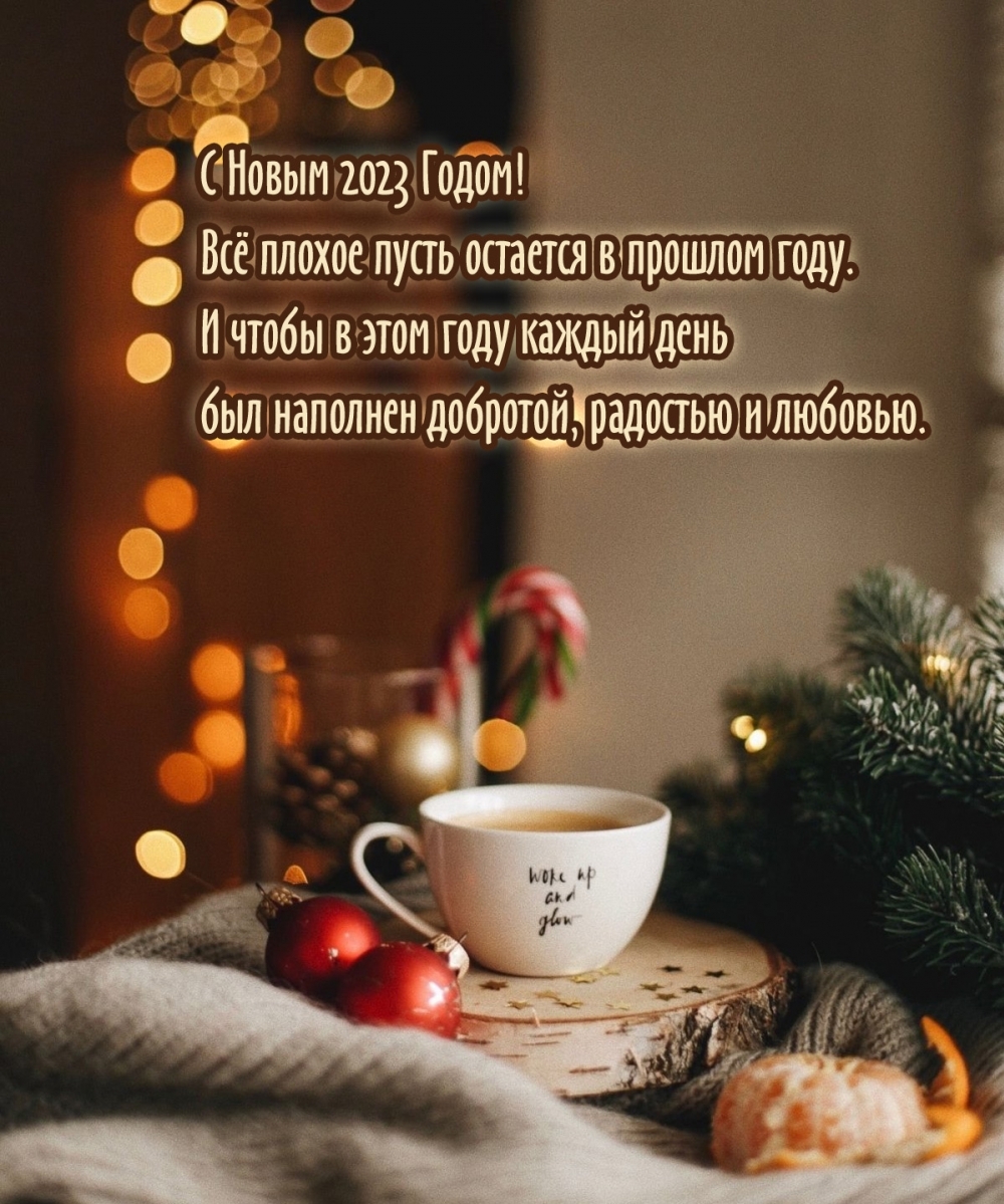   :   2023 !       . 