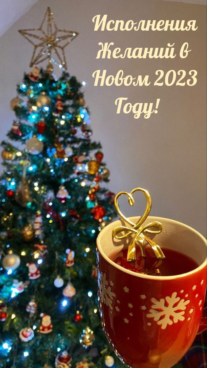   :     2023 !