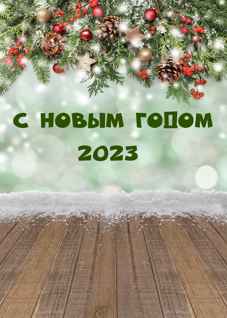 С Новым годом 2023