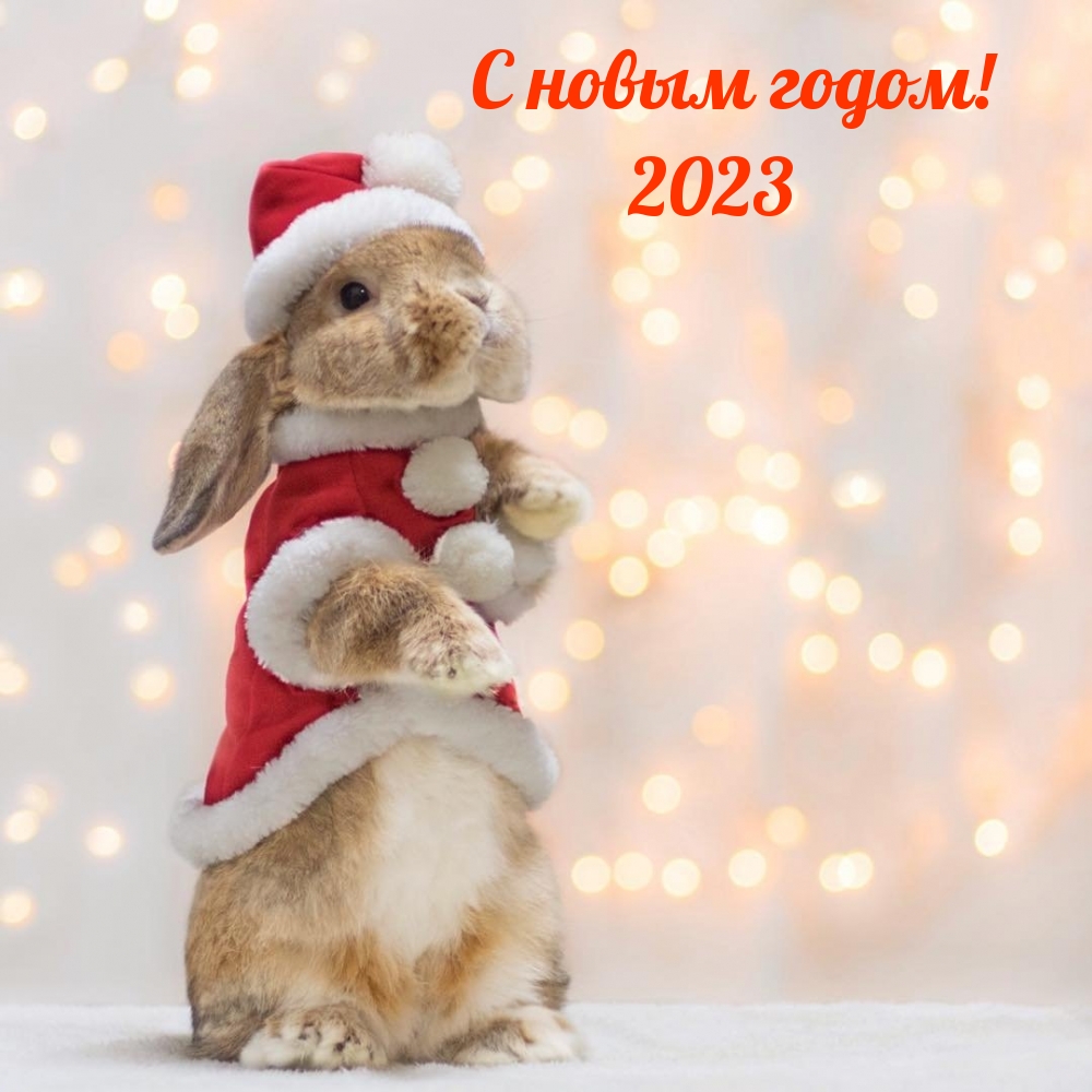   :   ! 2023