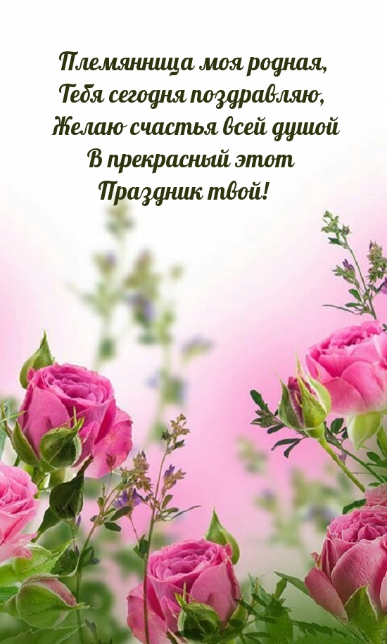   :   ,   