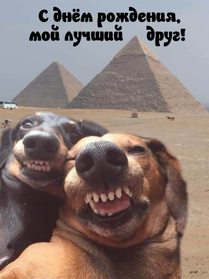   ,   !.