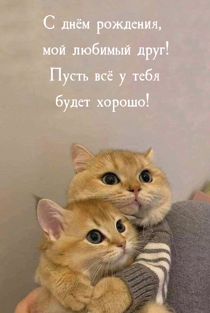   :   ,   !      ! 