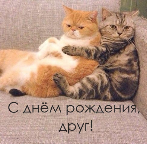   , !.