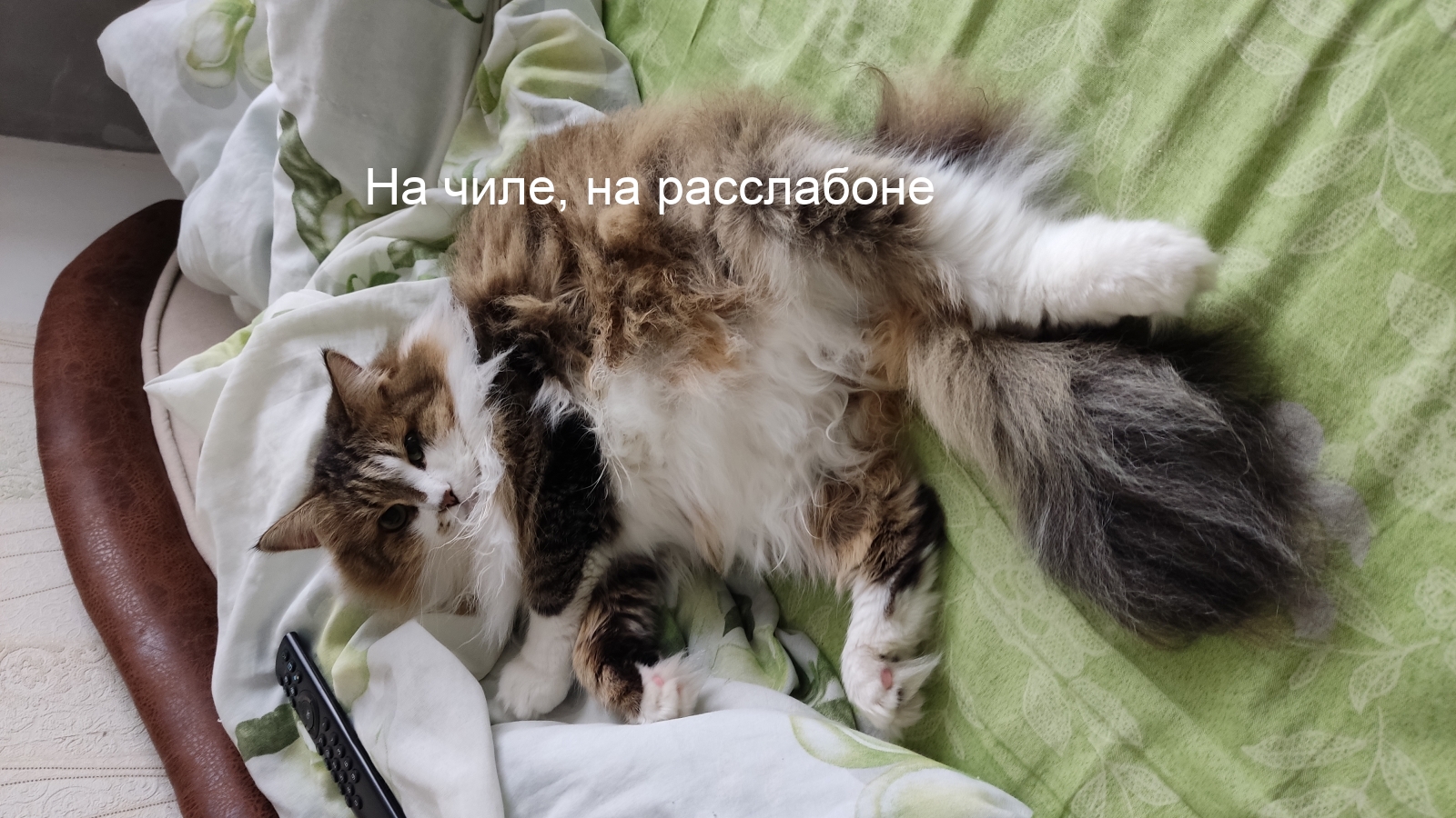   :  ,  
